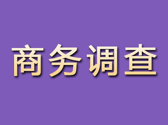 海北商务调查